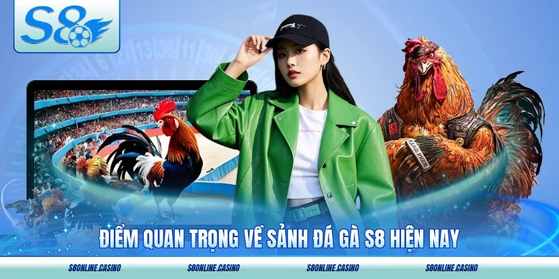 Điểm quan trọng về sảnh đá gà S8 hiện nay